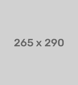 Banner Detail 1 1
