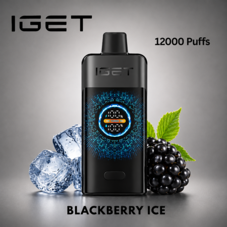 IGET ONE – BLACKBERRY ICE – 12000 PUFFS