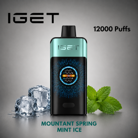 IGET ONE – MOUNTANT SPRING MINT ICE – 12000 PUFFS