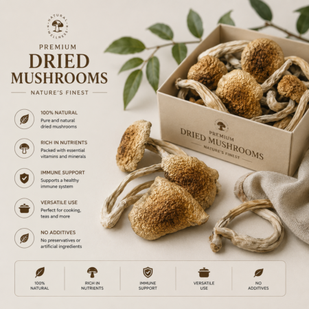 Magic Mushroom (28 grams)