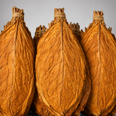 Whole Raw Tobacco Leaves( Dried)