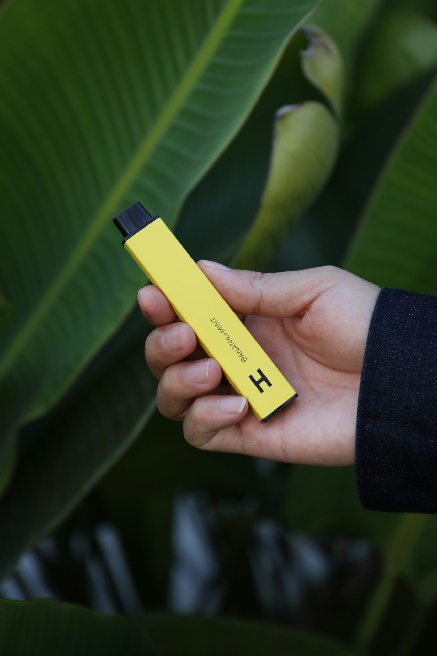 Why Disposable Vapes Are So Popular